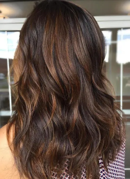 Long Layered Hair with Light Brown Highlights
