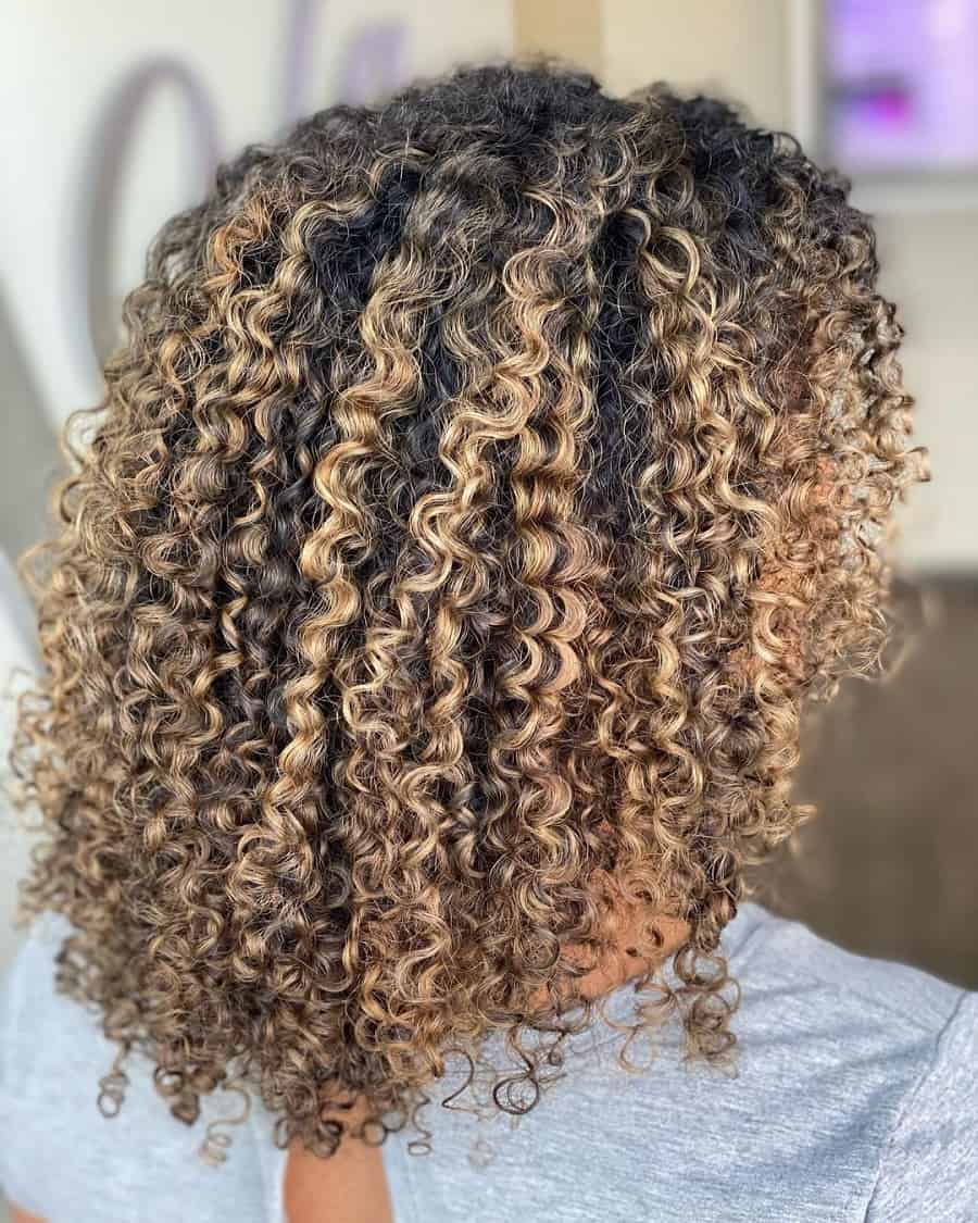 curly hair with honey blonde highlights