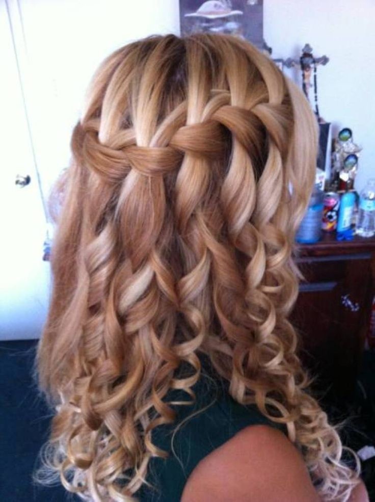 Curly Hairstyles with Braids