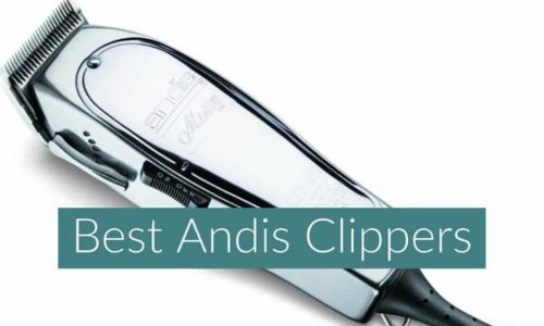5 Best Andis Clippers 2023 for Professional and Home Use