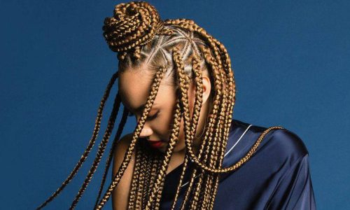 20 Hottest Triangle Box Braids to Inspire You